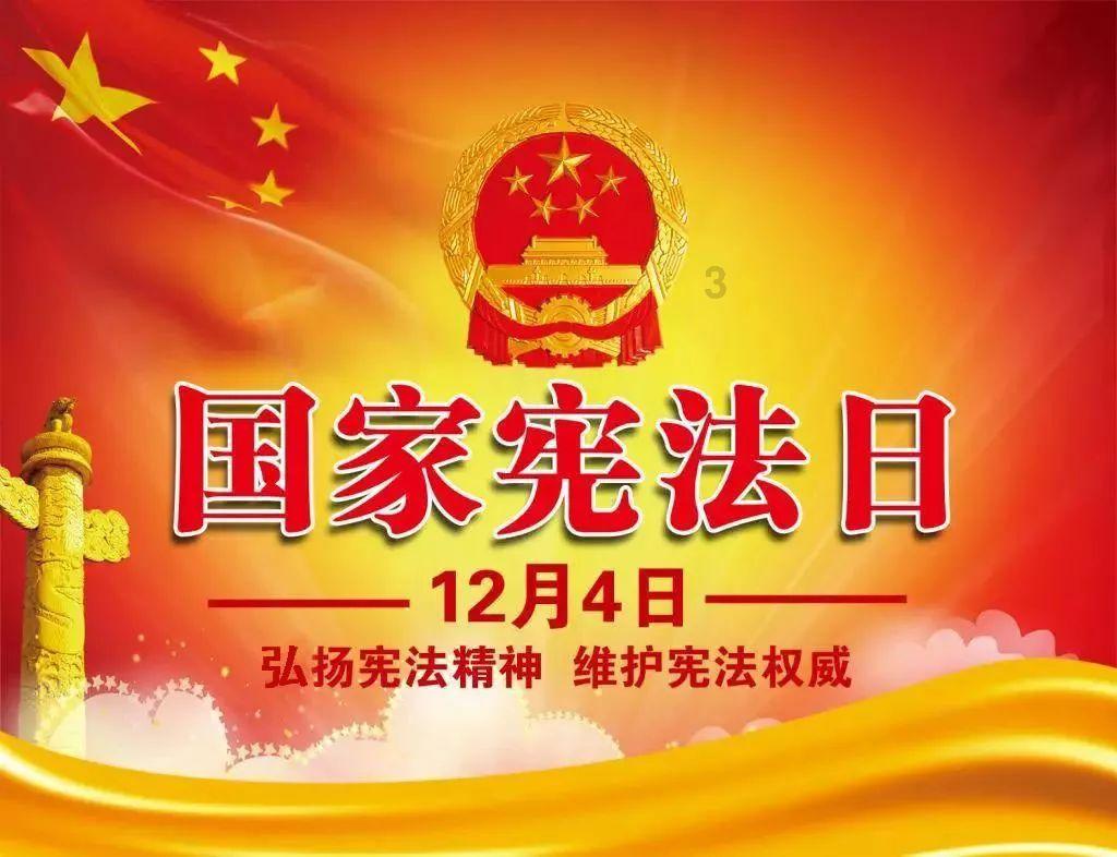 救援淘气的小狗